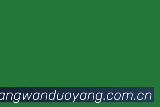 关于畅玩多样体育app